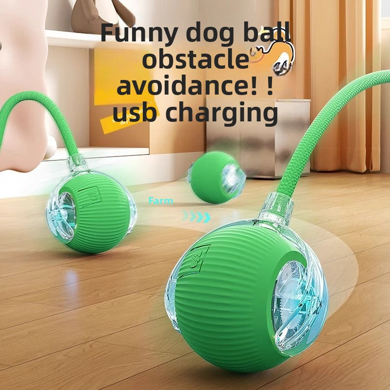 electric pet toy